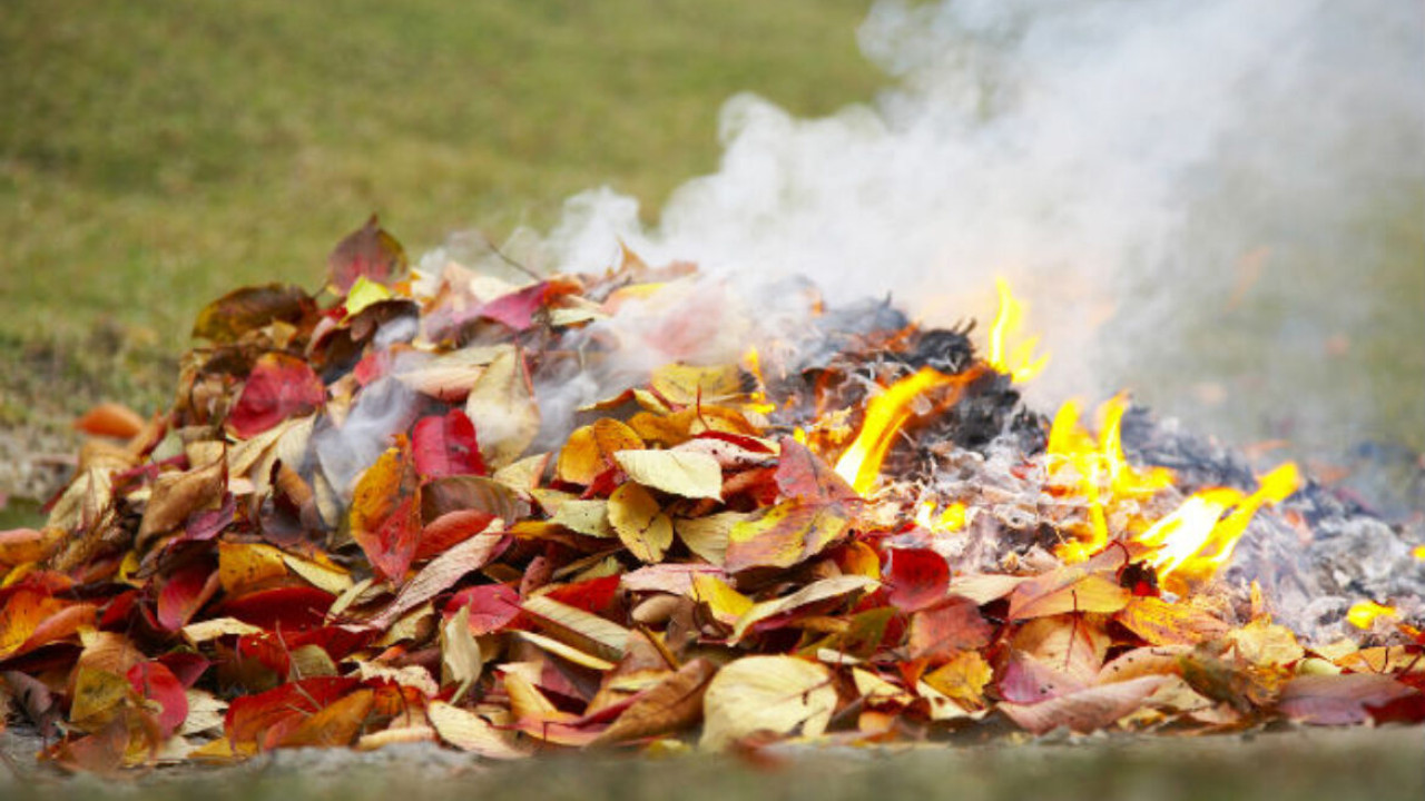 6512cb355bd2b__burning_leaves-1170x700.jpg