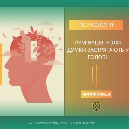 3d982ad4-b0db-4408-a6cb-2e179a0de293.jpg