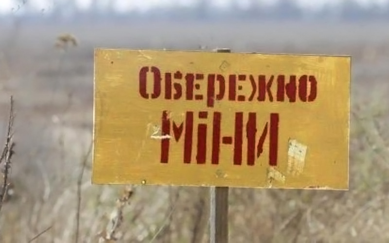5973eb12-a0c0-4ded-825e-1d0f1fa7772b.jpg 5973eb12-a0c0-4ded-825e-1d0f1fa7772b.jpg