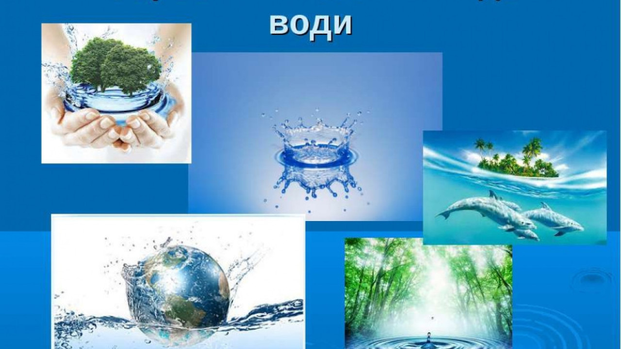 65fd68713aaba__2017-3-22-9acea9cc247881dab7b994a48548dda9.jpg 65fd68713aaba__2017-3-22-9acea9cc247881dab7b994a48548dda9.jpg