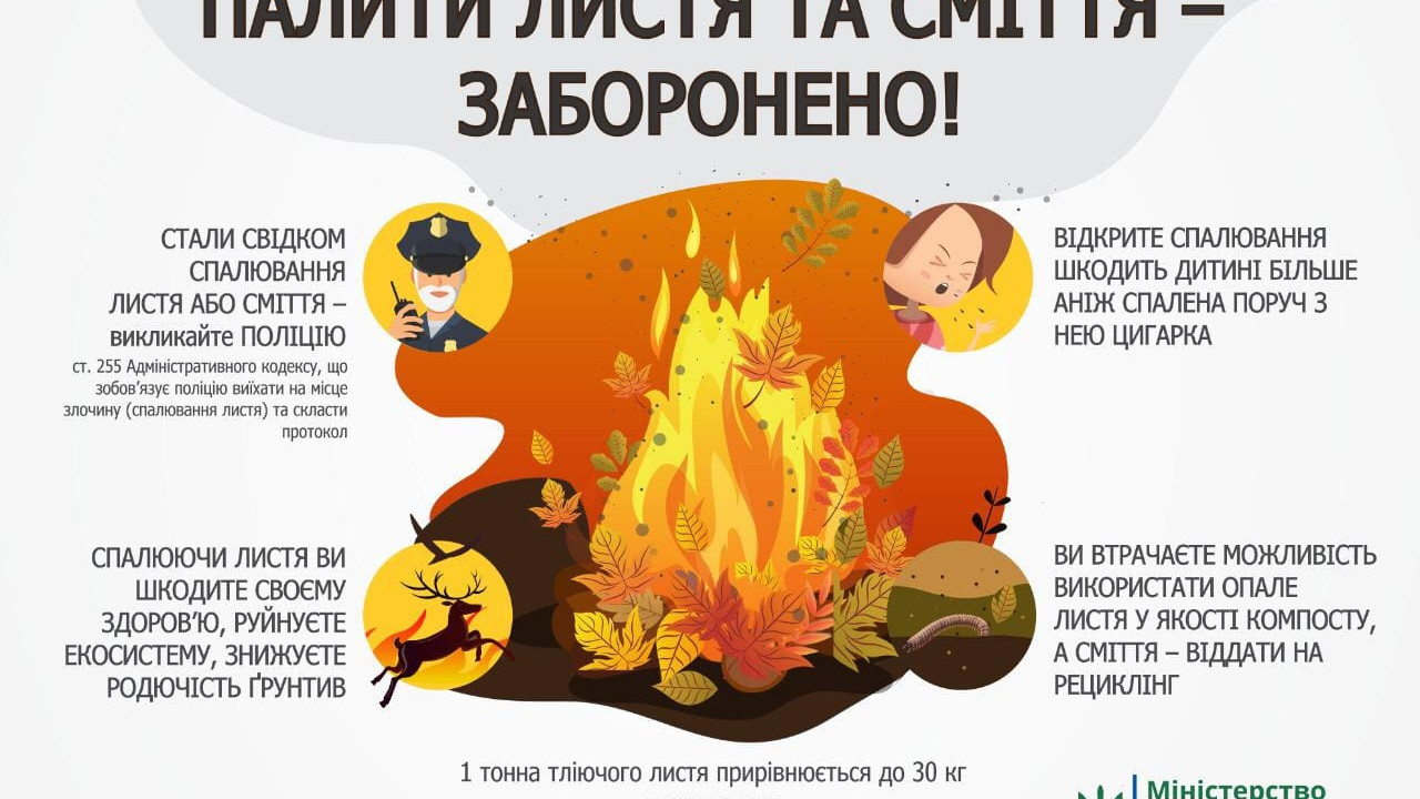 66571879719b1__list.jpg 66571879719b1__list.jpg