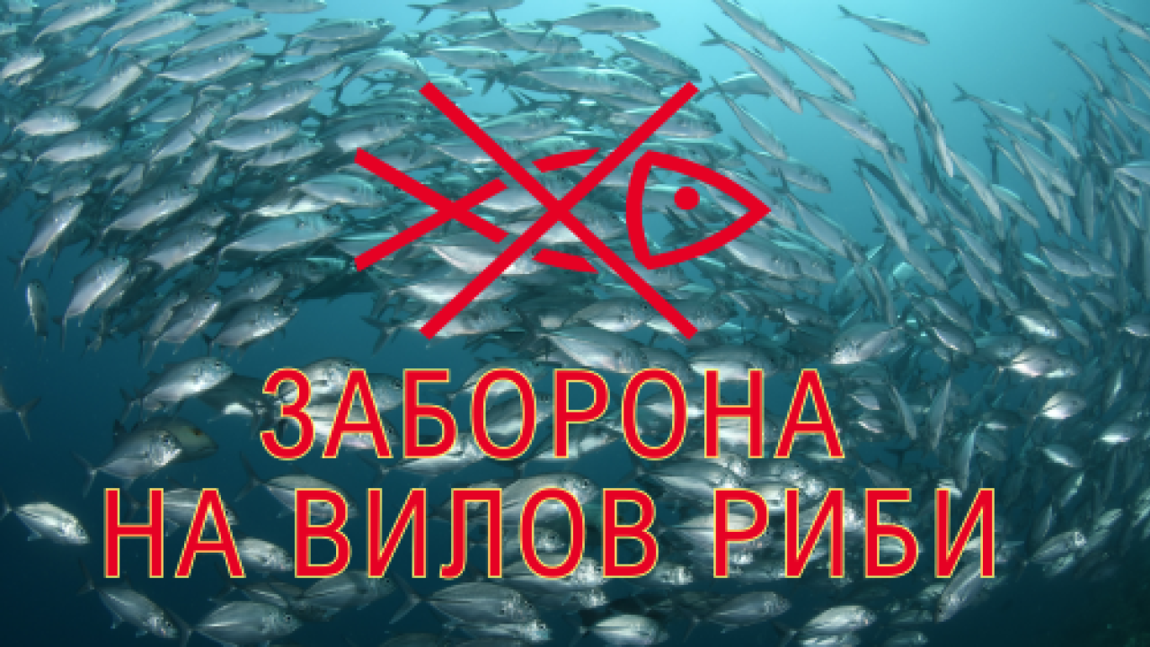 666aa44582d61__03-26_02.png 666aa44582d61__03-26_02.png
