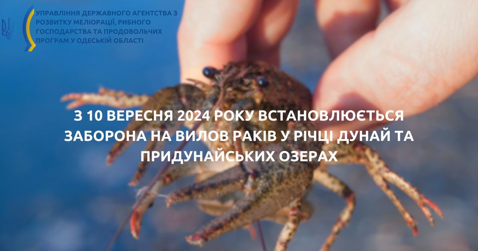 67fd11ba-b478-4824-8fb8-438fa7b2ab6a.jpg 67fd11ba-b478-4824-8fb8-438fa7b2ab6a.jpg