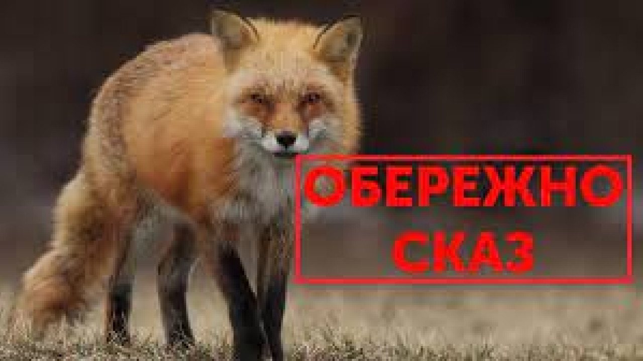 6544e394f1c26__396709403_356960650062689_7749762483391981672_n.jpg 6544e394f1c26__396709403_356960650062689_7749762483391981672_n.jpg