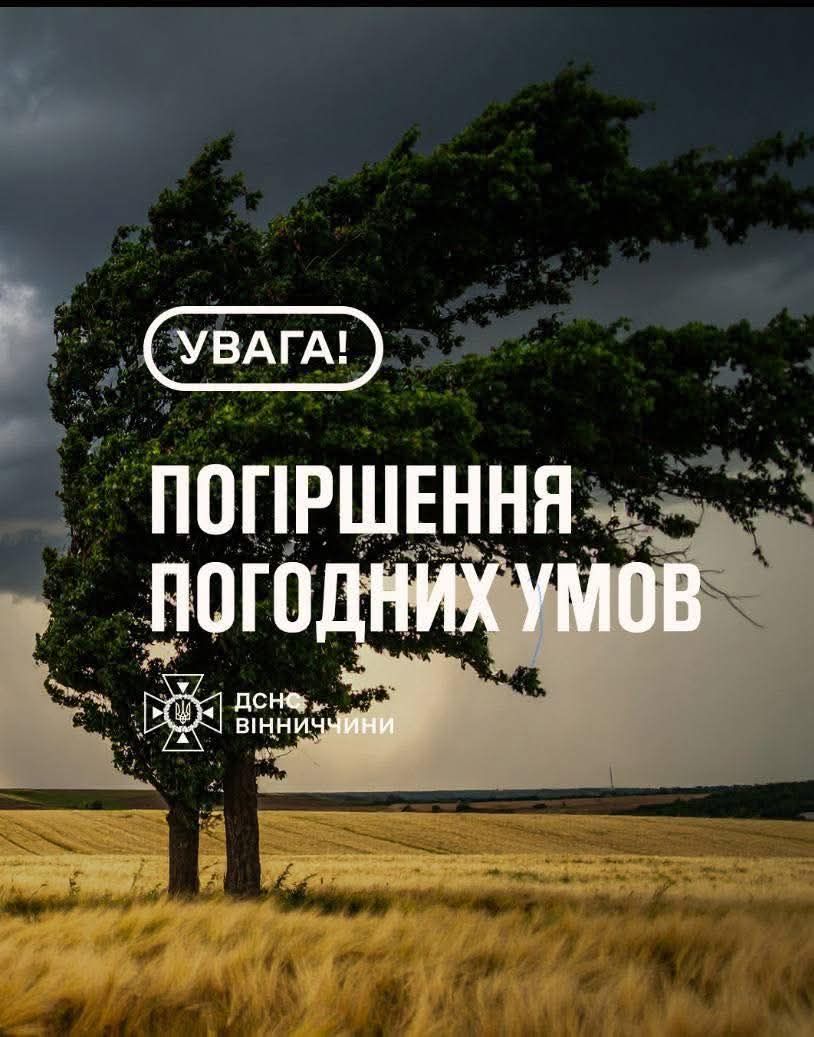 f2d0bb2c-9100-4eb8-abf8-66960d8aa01a.jpg
