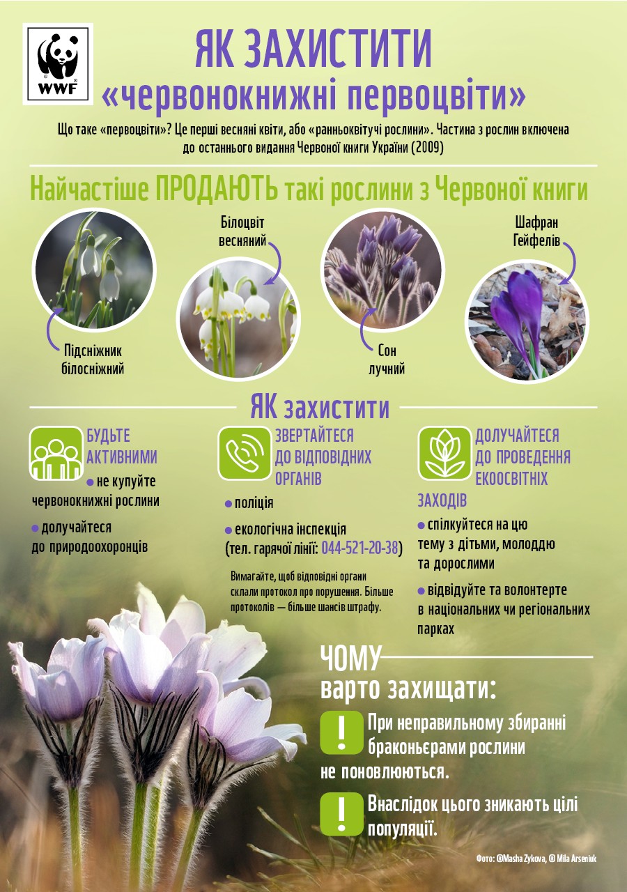 c0d3c510-071f-4e44-a0ae-6db883aa43f0.jpg c0d3c510-071f-4e44-a0ae-6db883aa43f0.jpg