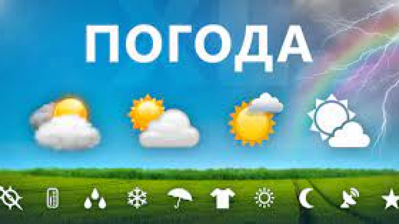 64f6df3c3482a__завантаження-(1).jpg