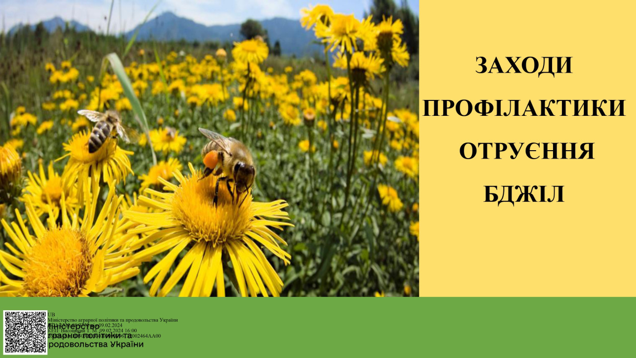 65cde08113077__Інформаційні-матеріали-по-заходам-профілактики-отруєння-бджіл_page-0001.jpg