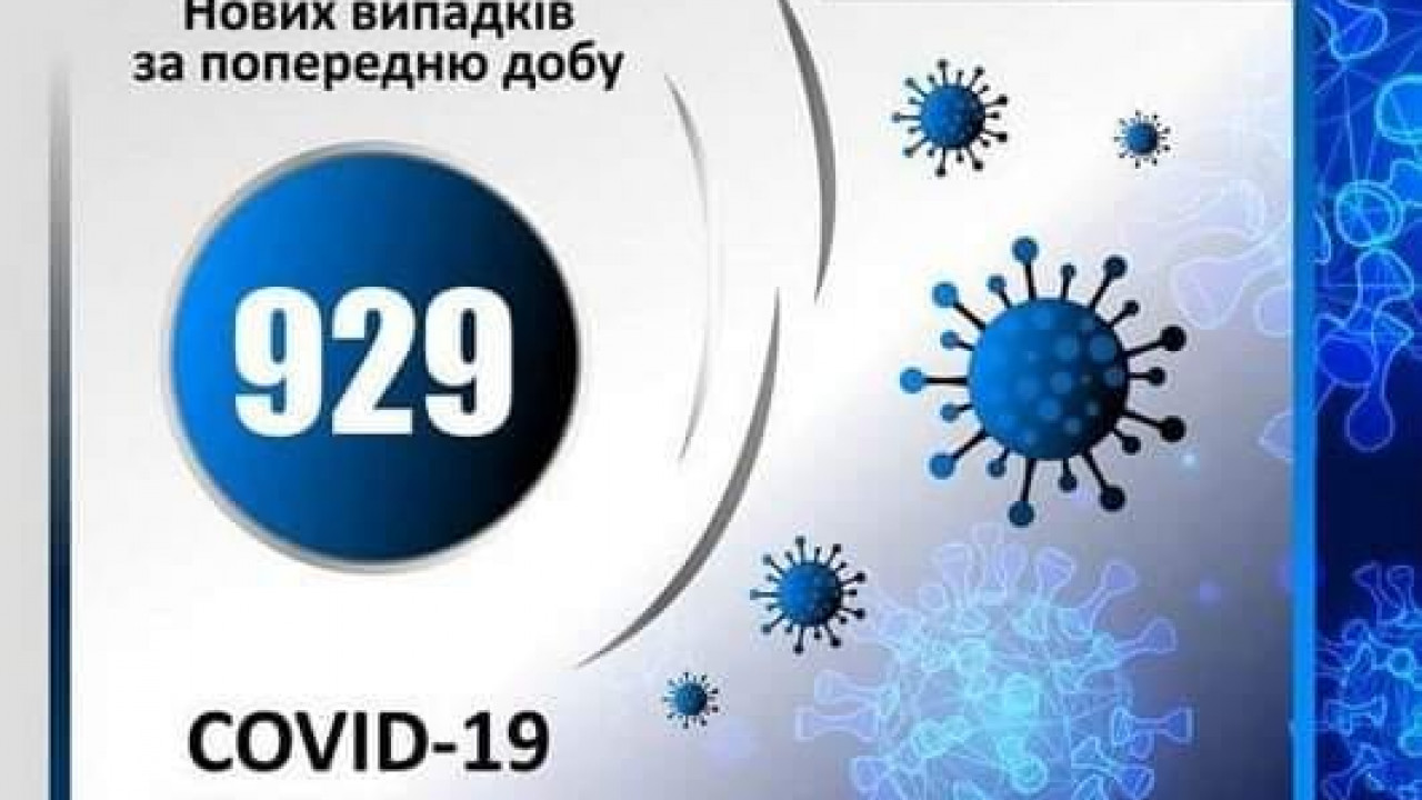 61963b209c8b3__d768dcfd89fe974d4f32776041de4d7e.jpg 61963b209c8b3__d768dcfd89fe974d4f32776041de4d7e.jpg