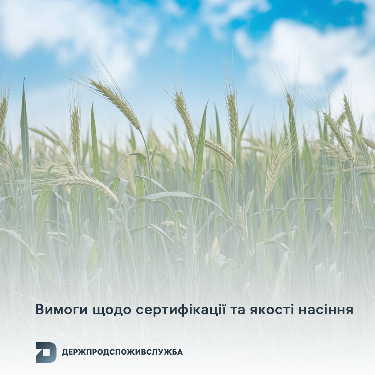 0c8c7a29-02e1-40c7-a7c0-591290fa7d9b.png 0c8c7a29-02e1-40c7-a7c0-591290fa7d9b.png