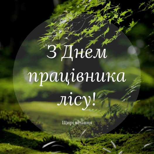32f5f8db-e73c-4c5d-bac8-2e5c094d89b3.jpg