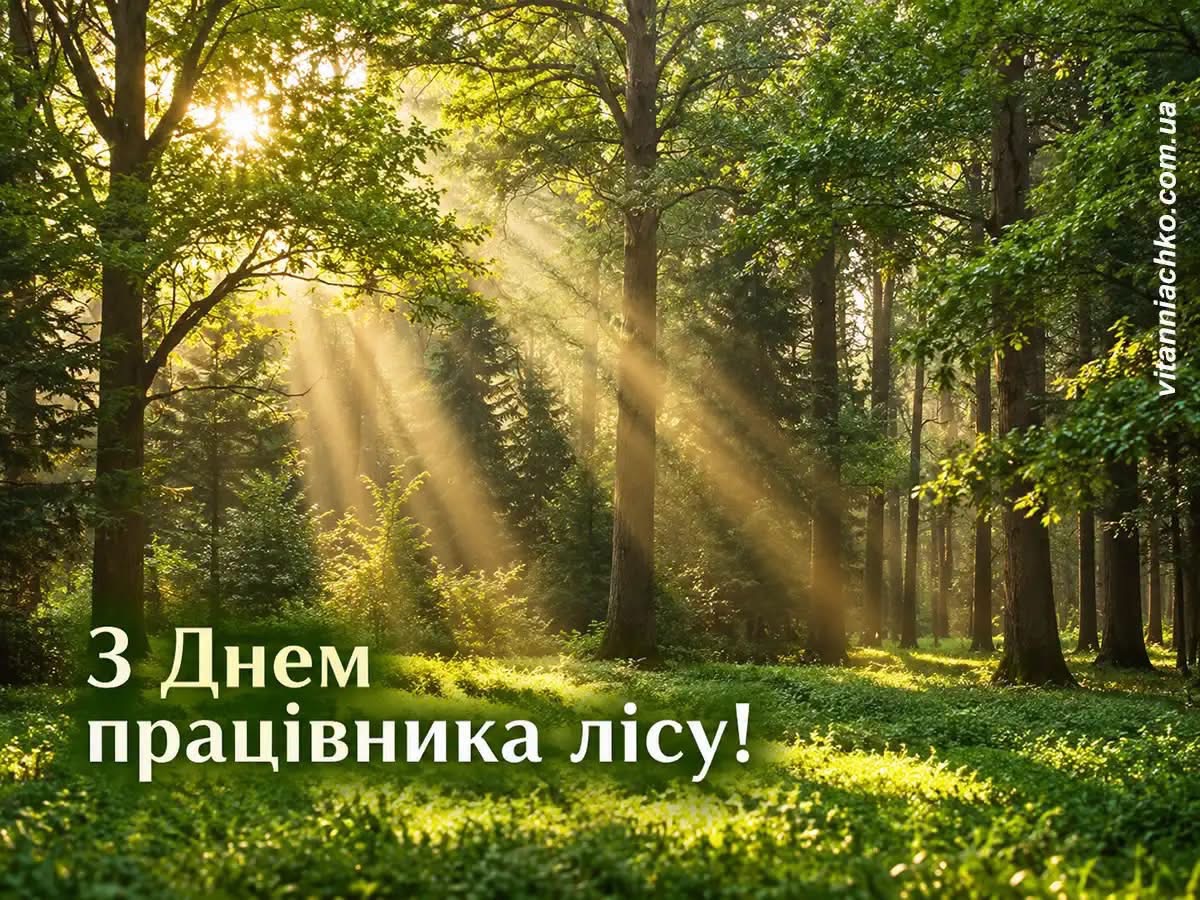 92e09f28-7d0c-4641-a4e9-8d8e303f85e8.jpeg
