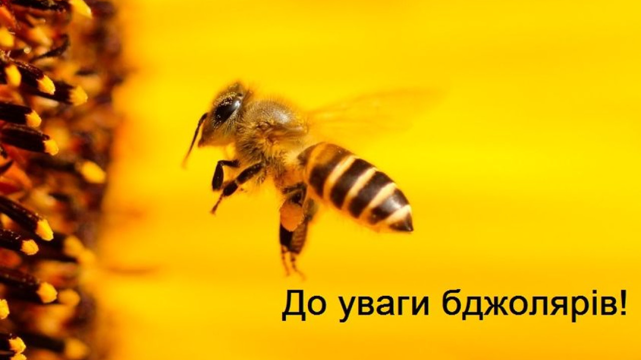 645346549be7b__345036186_253627280393674_1253550637021058457_n.jpg 645346549be7b__345036186_253627280393674_1253550637021058457_n.jpg