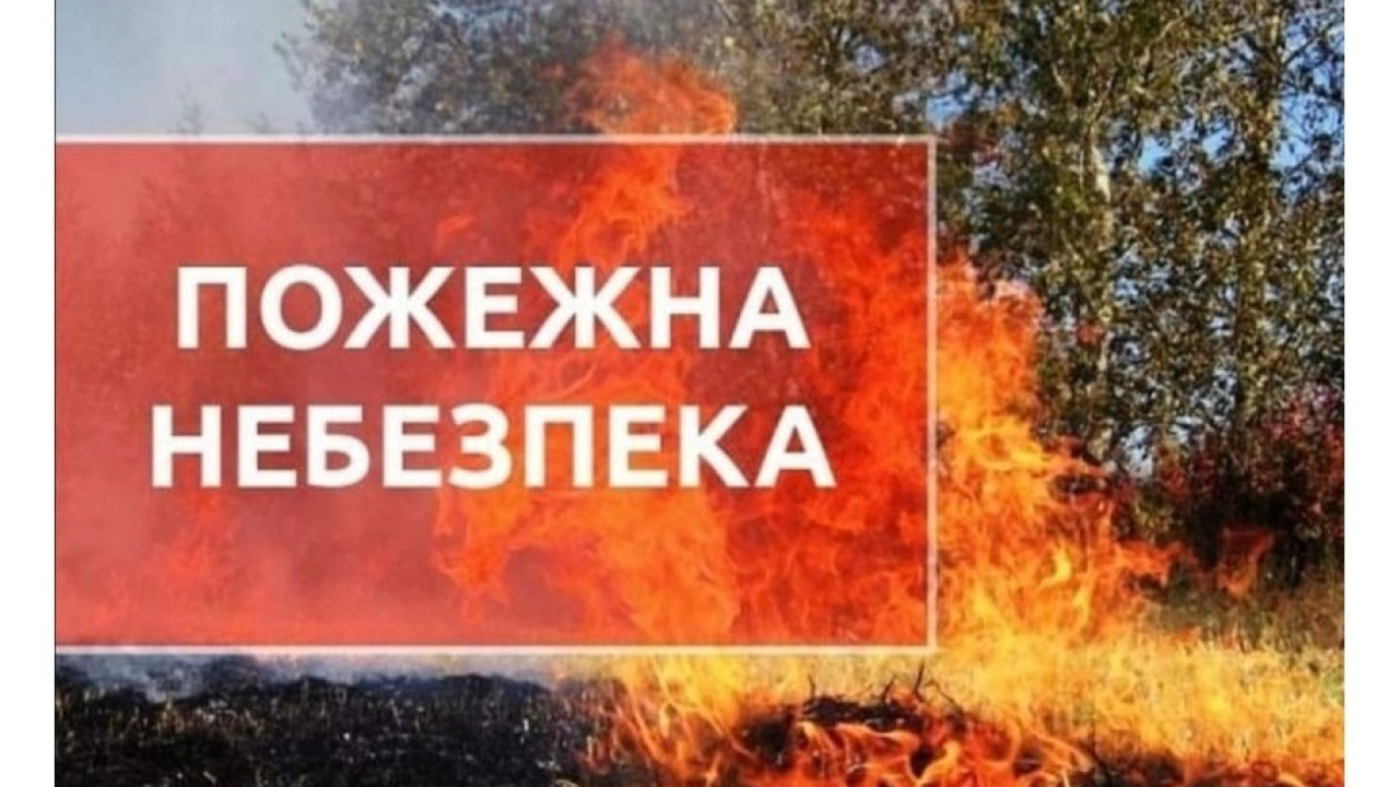 647d9d3bdb114__351176125_590087576555455_9067767921448276611_n.jpg 647d9d3bdb114__351176125_590087576555455_9067767921448276611_n.jpg