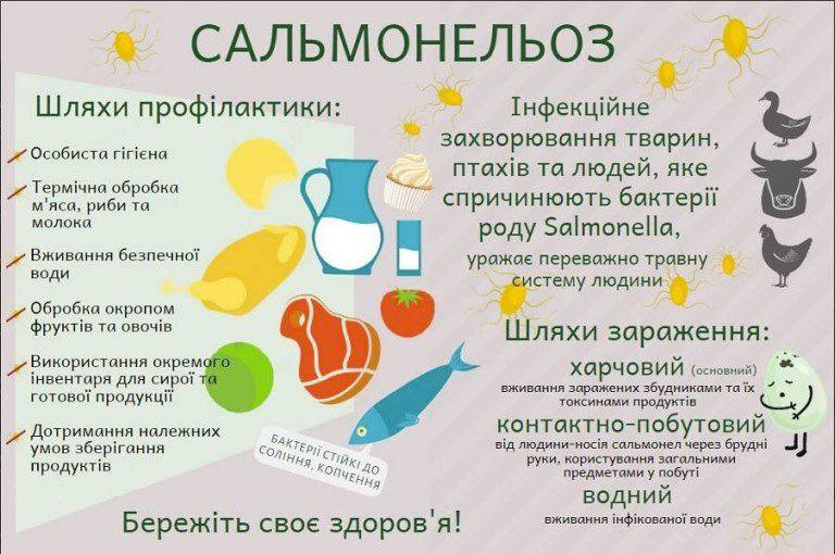 897bebb6-0bdf-488f-9cd2-3cd91882b7a9.jpg