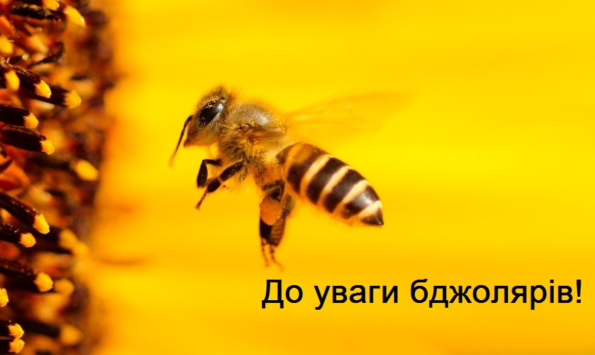 e91277f2-82ba-44e1-a08e-047fce9f8e44.jpg