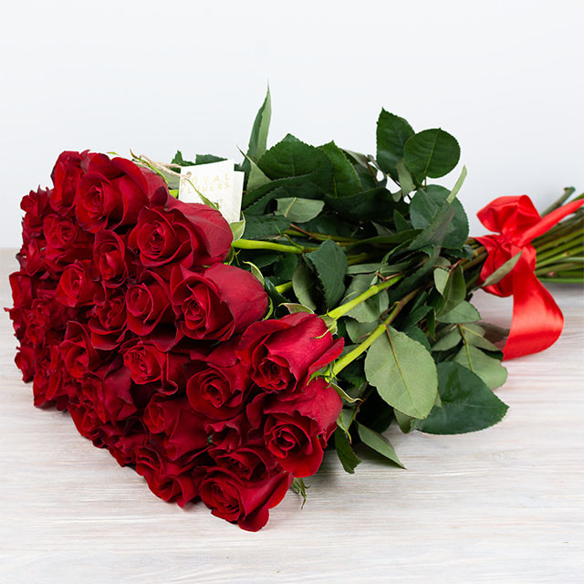 1a972a27-0bb9-4af6-ba6b-94dd574b9ce6.jpg
