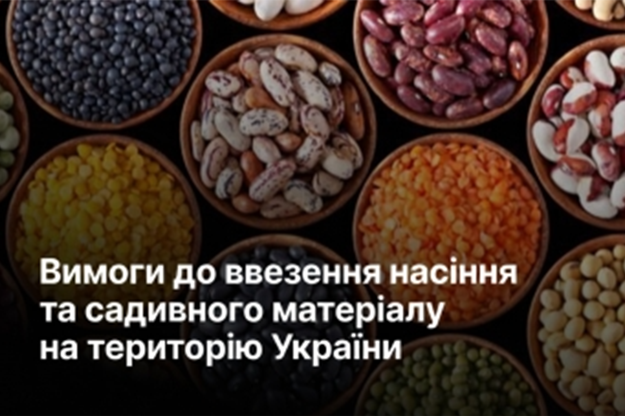 efb3a535-da87-4b33-bf01-c99449d78c01.png