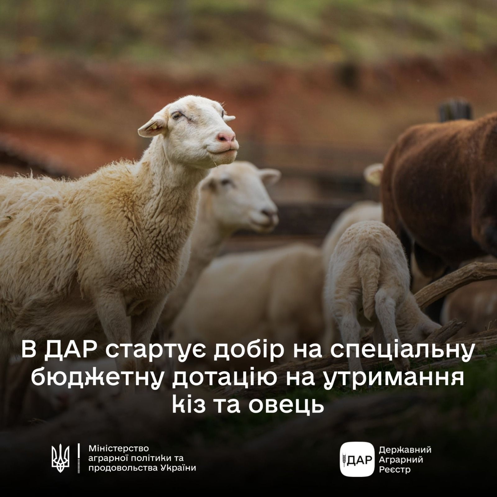 b37b62de-79ad-4f9a-9cc7-3aa976cb48c2.jpg b37b62de-79ad-4f9a-9cc7-3aa976cb48c2.jpg