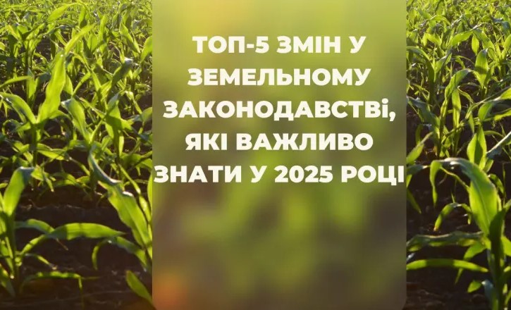 2dada8e1-4b5d-40a2-8cfc-607f16db6f45.jpg 2dada8e1-4b5d-40a2-8cfc-607f16db6f45.jpg