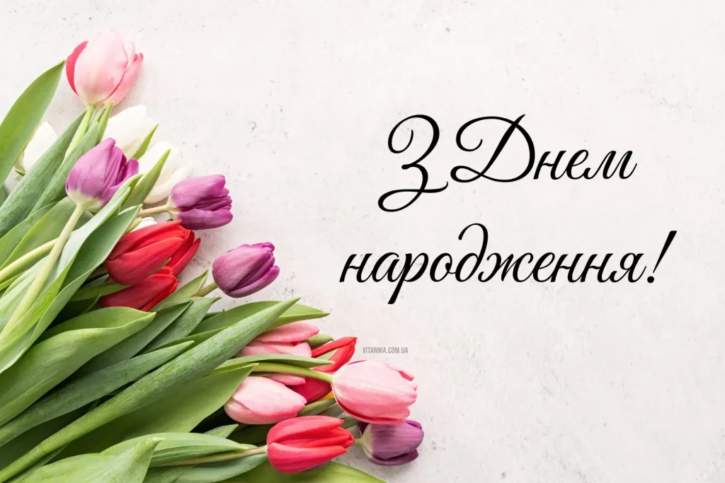 71283c85-4307-479f-8473-a14e4491df58.webp