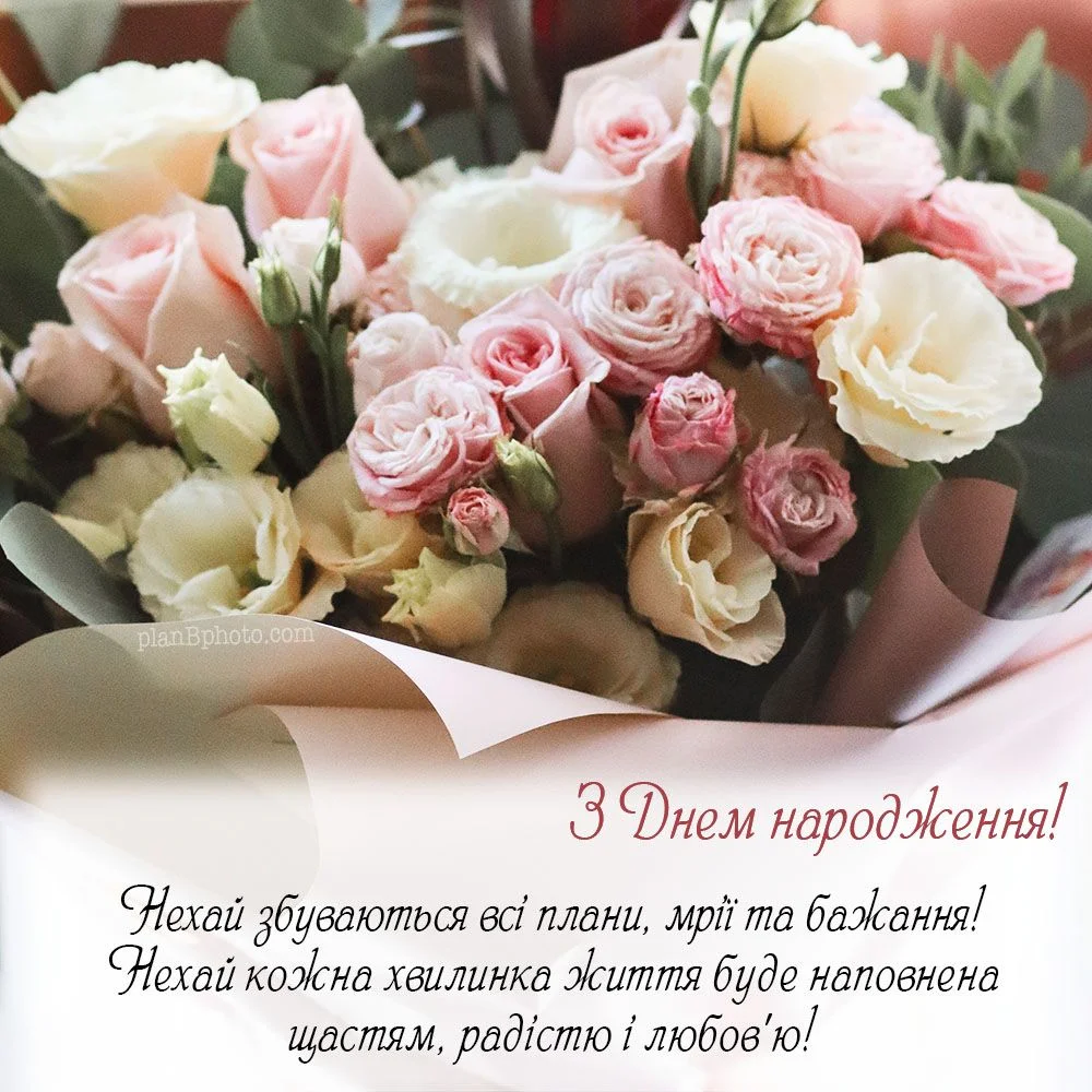 5f4fadcd-6db8-42da-8236-7822fd9e5ef9.webp