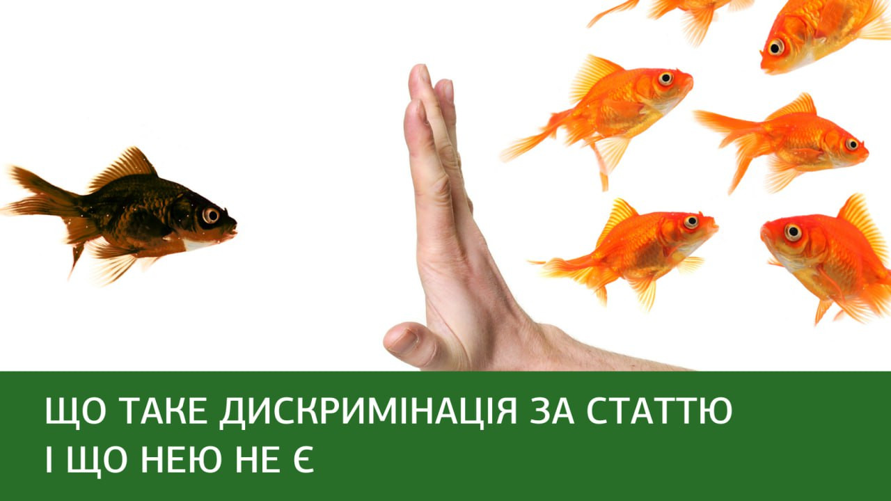 64dcdbdb569c9__368014891_699928815503643_7435490528837782592_n.jpg 64dcdbdb569c9__368014891_699928815503643_7435490528837782592_n.jpg