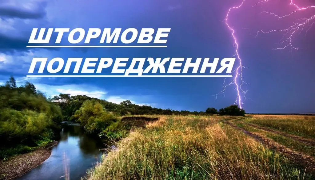 1299b7cc-1fc1-4d09-8b5d-46b4ca61970e.webp