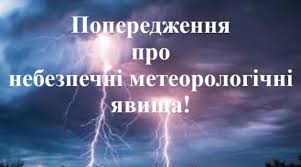 510c21ea-53d2-444f-8562-68c093b440d1.jpeg 510c21ea-53d2-444f-8562-68c093b440d1.jpeg