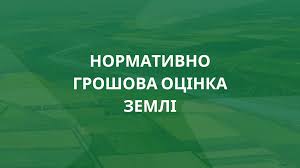 25e9ea38-24a5-4aef-b53f-e87ccf0a94a8.jpeg 25e9ea38-24a5-4aef-b53f-e87ccf0a94a8.jpeg