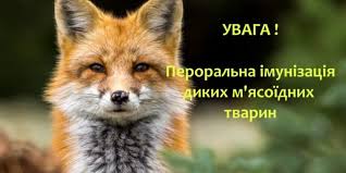 37c81289-ceae-4ec4-b7c7-8b8cc6258024.jpeg