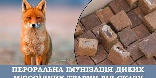 3c54b98f-e3ec-4301-b238-973141c6ee86.jpeg 3c54b98f-e3ec-4301-b238-973141c6ee86.jpeg