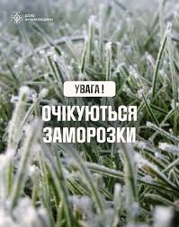 399a0d60-9bc4-4167-8205-cd24587a9e96.jpeg 399a0d60-9bc4-4167-8205-cd24587a9e96.jpeg