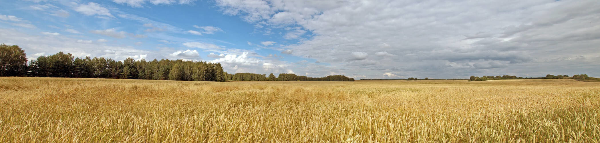 Коломацька територіальна громада