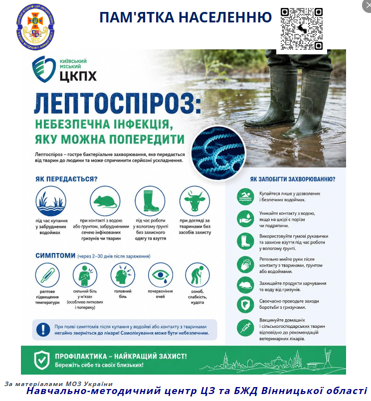 8fddce61-dda5-4bdc-b65d-2aecab7da9d9.png