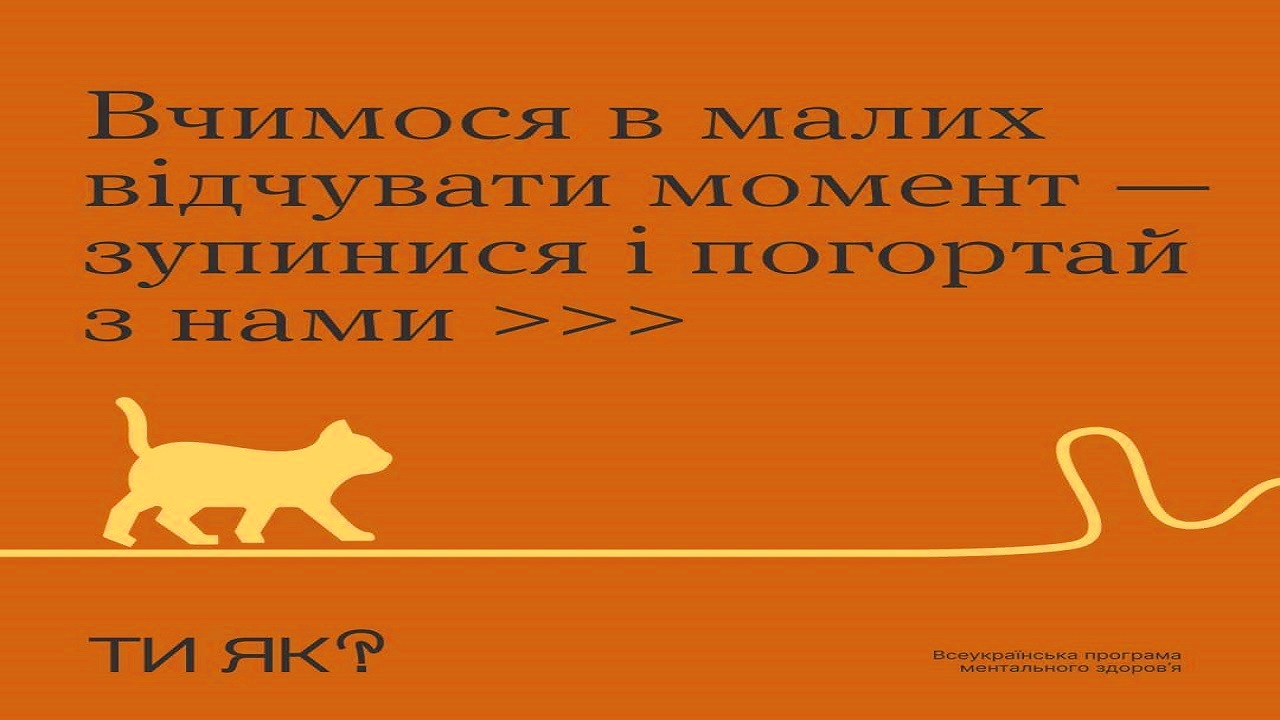 8c0cff7e-1ed1-488d-a402-f0fe09d6b3dc.jpg 8c0cff7e-1ed1-488d-a402-f0fe09d6b3dc.jpg