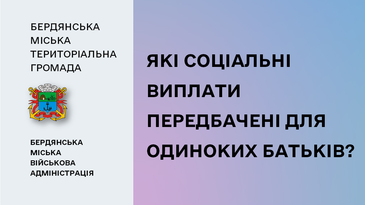 6580b1db2f9a1__Соцвиплати.png