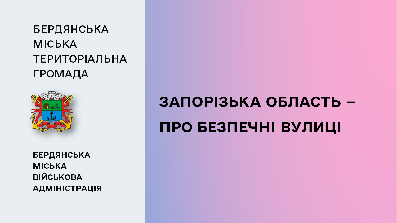 664e1969e27c6__Безпечні-вулиці.png