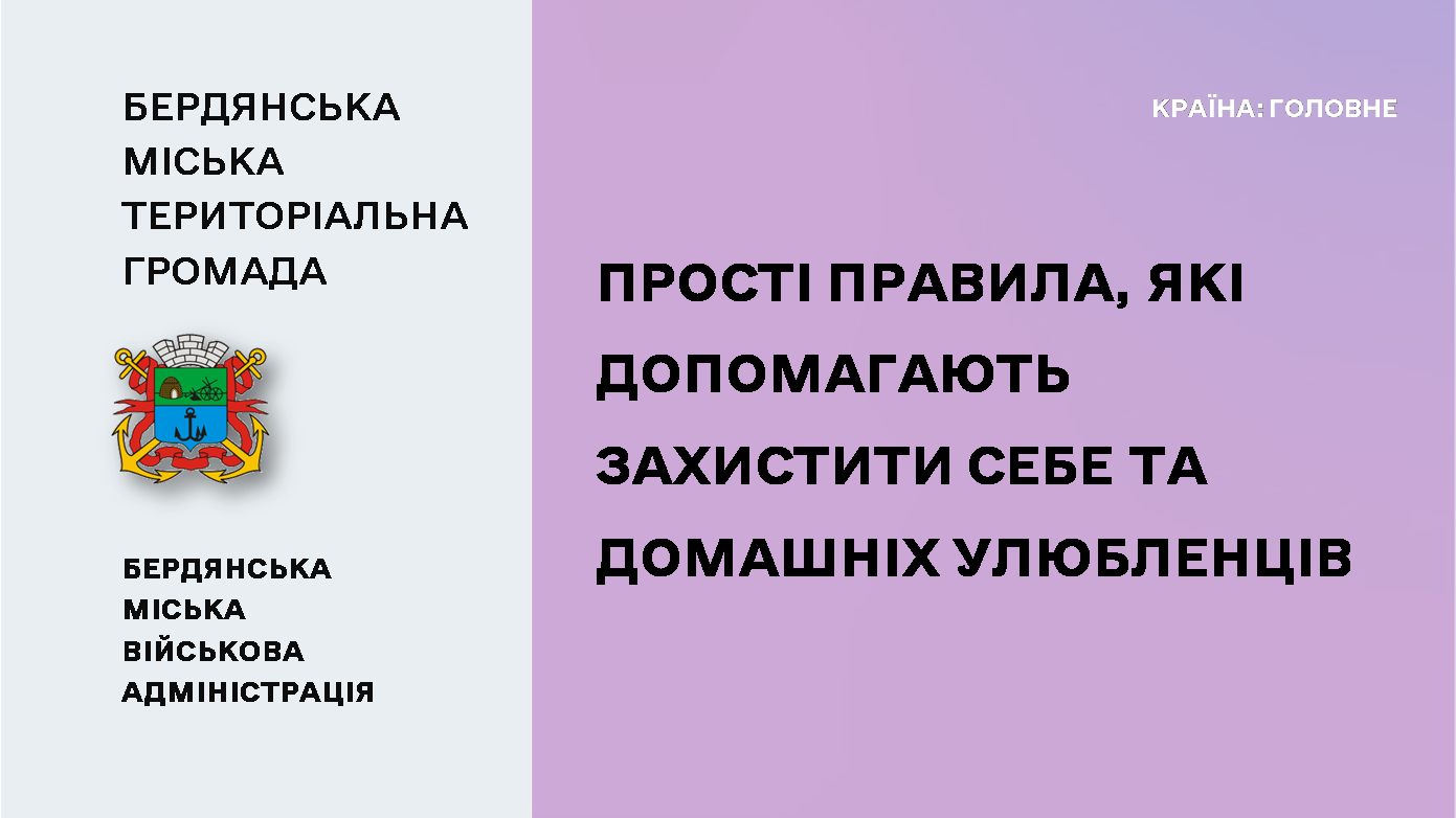 e0d9625f-252f-404a-9772-89f72f3d28f9.png