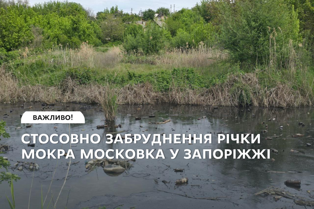 b1ea84a8-1736-442e-afed-70bc7c364171.jpg b1ea84a8-1736-442e-afed-70bc7c364171.jpg