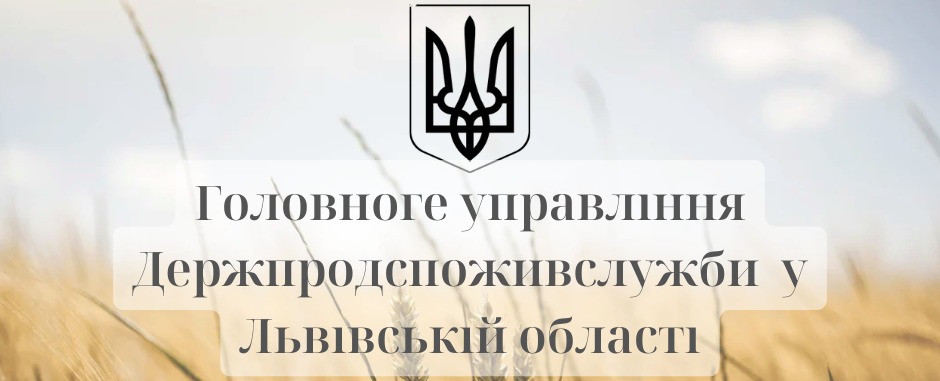 b390bc07-87e1-499e-b4b1-89d92080c25f.jpg b390bc07-87e1-499e-b4b1-89d92080c25f.jpg