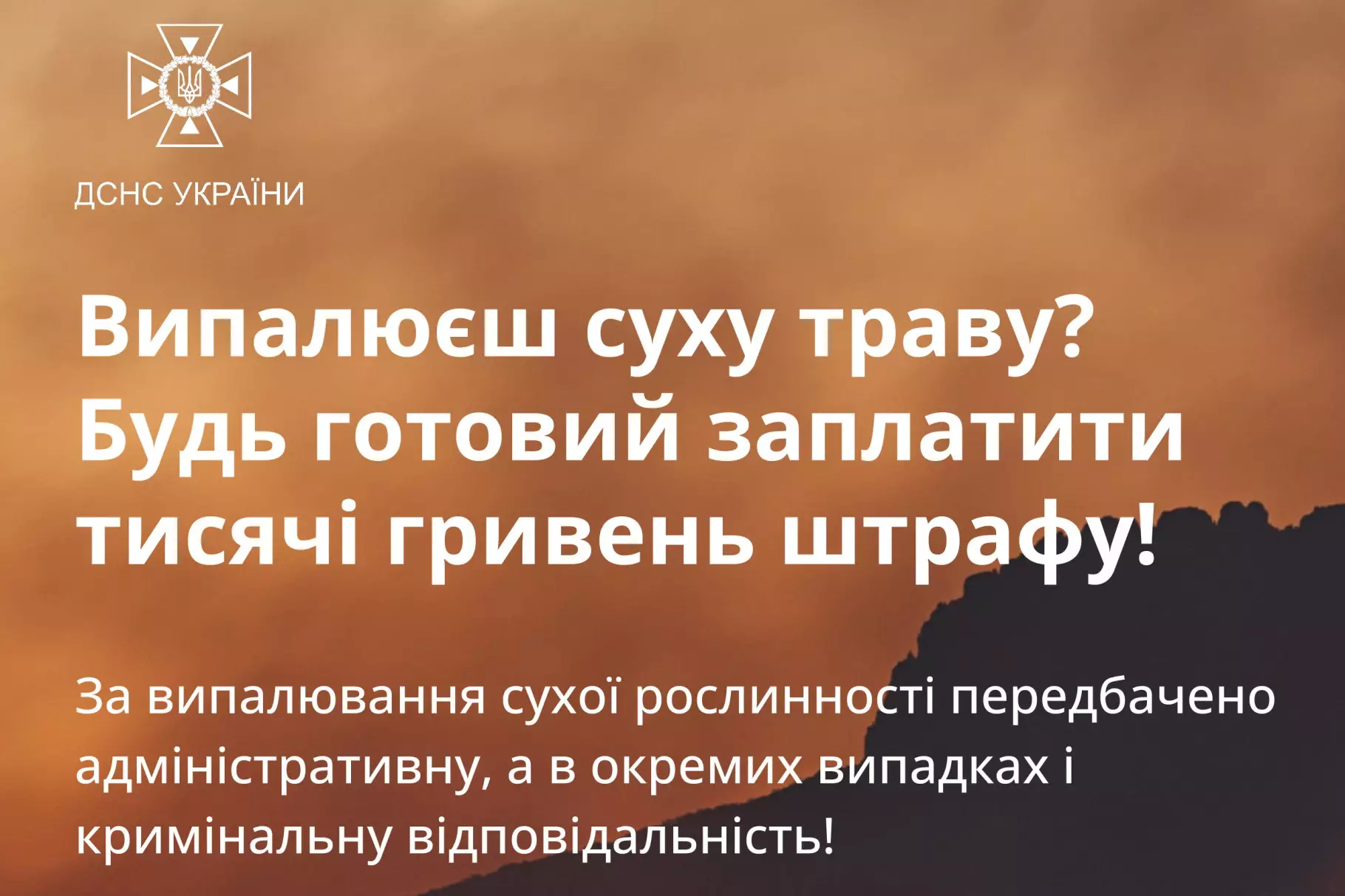 e6b165a6-55df-46fc-926a-1e6c697c8628.webp e6b165a6-55df-46fc-926a-1e6c697c8628.webp