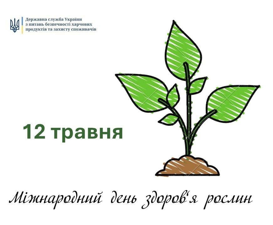 dcd8d3f5-820b-4ba0-8919-ea79bf266c2e.jpg dcd8d3f5-820b-4ba0-8919-ea79bf266c2e.jpg
