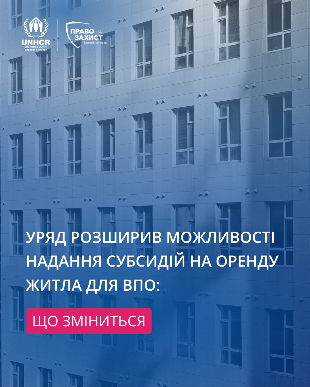 8d808a9f-b68a-4d09-a907-22ff683b106b.jpg