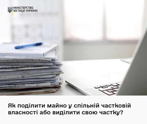 ae703c2f-1710-4bfe-9f7f-7de3d77f5ba3.jpg
