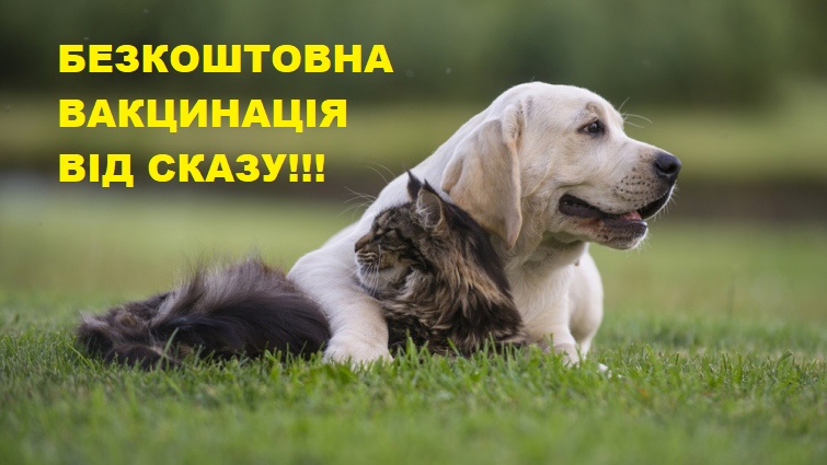 67e9b7eb-dabd-47cd-ae2b-0eb137a7eef0.jpg
