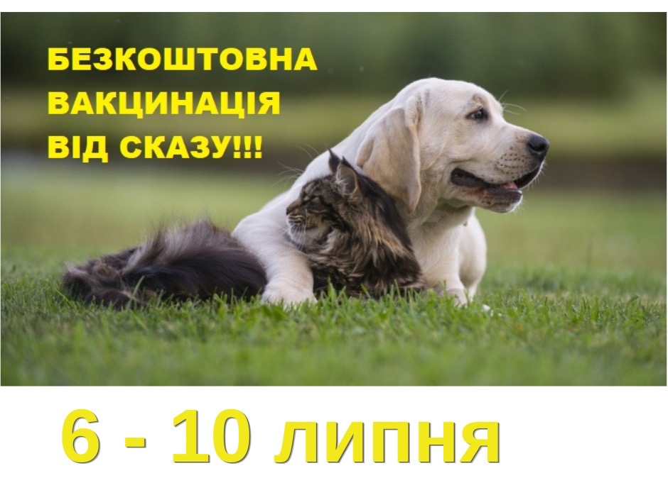 82c9c5a1-7e59-412b-be13-a8035d797166.jpeg
