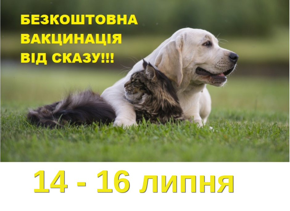 da4bd128-3fee-4a18-8783-e44cf0949673.png