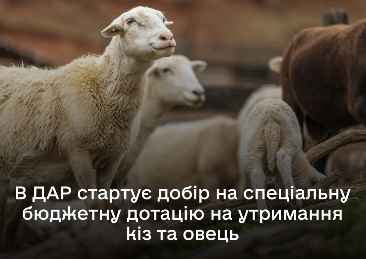 6c9552ed-8e94-428a-ace6-fbca3ec3da8e.jpeg