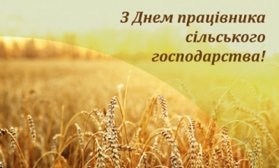 a63d31f5-851a-4769-a28f-f7b3a8f49027.jpg